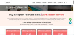 YouTube Subscriber Badhane Wala Website