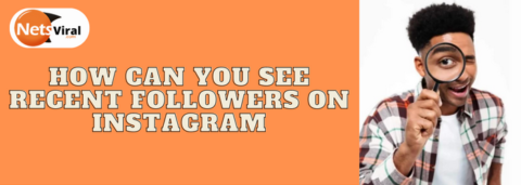 How Can You See Recent Followers on Instagram